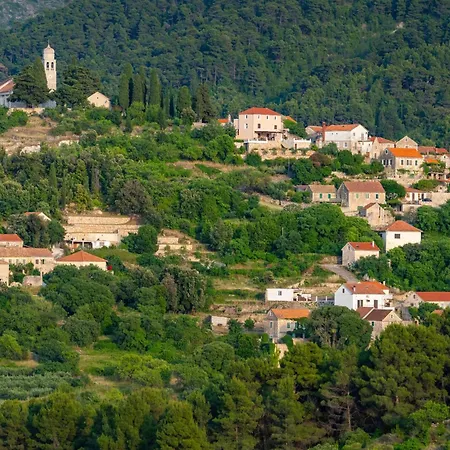 My Dalmatia - Sea View Amaria With Private Pool Holiday home