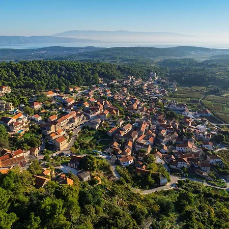 My Dalmatia - Sea View Amaria With Private Pool Holiday home