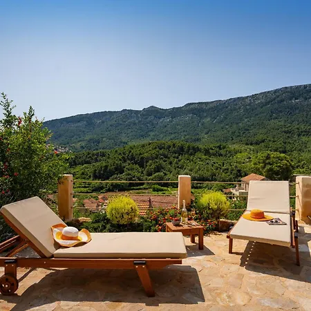 My Dalmatia - Sea View Amaria With Private Pool Holiday home