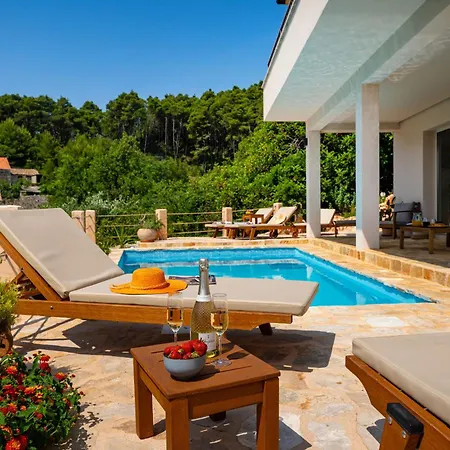 Holiday home My Dalmatia - Sea View Amaria With Private Pool Svirce