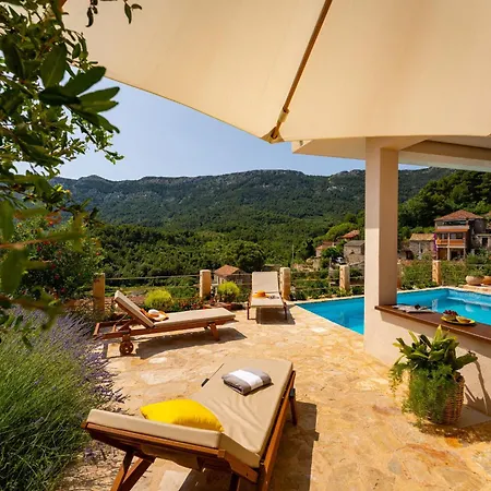 My Dalmatia - Sea View Amaria With Private Pool Svirce