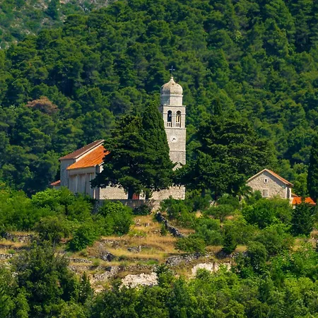 Holiday home My Dalmatia - Sea View Amaria With Private Pool Svirce