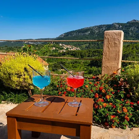 My Dalmatia - Sea View Amaria With Private Pool Svirce