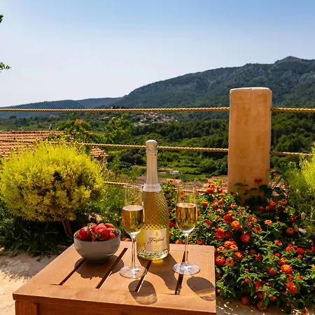 My Dalmatia - Sea View Amaria With Private Pool Holiday home