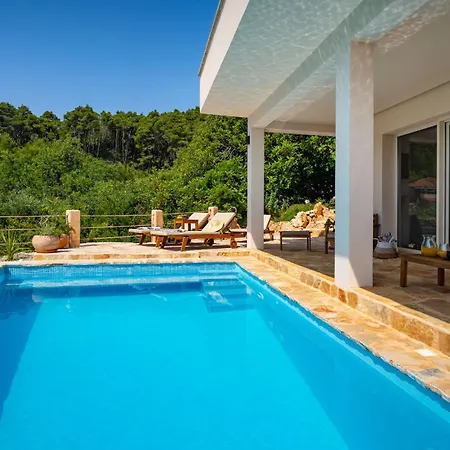 My Dalmatia - Sea View Amaria With Private Pool Holiday home *