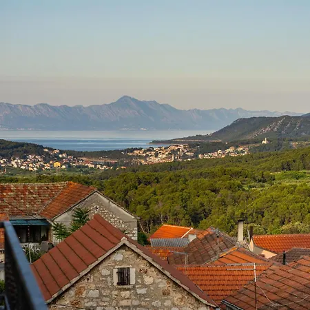 My Dalmatia - Sea View Amaria With Private Pool Holiday home